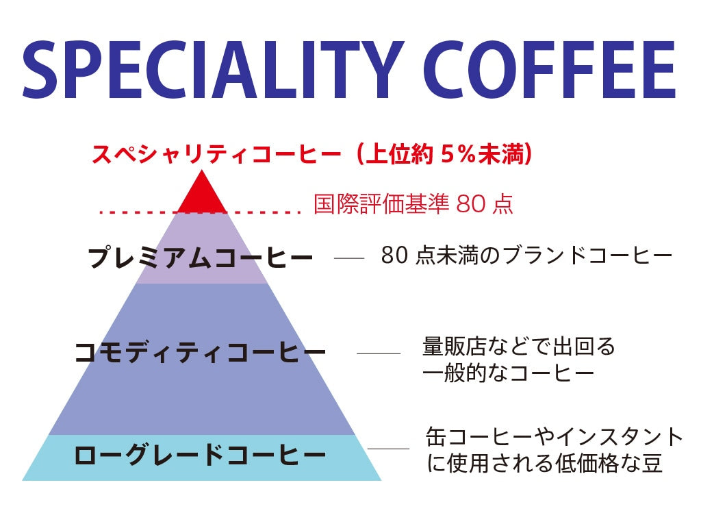 【再販】もしも桑原由気が地元長崎県佐世保市でカフェを開いたら Cafe Blue Hill オリジナルドリップコーヒー Weekly (7杯分)